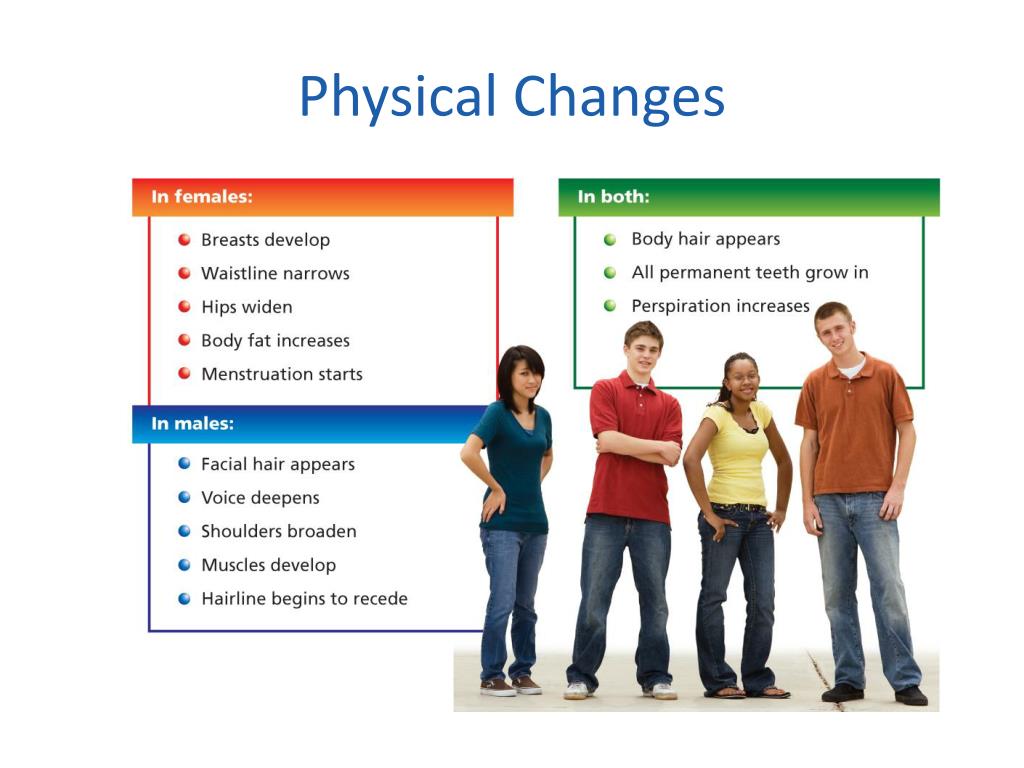 PPT - Chapter 18 Changes During Adolescence PowerPoint Presentation