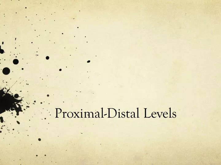 proximal distal levels n.