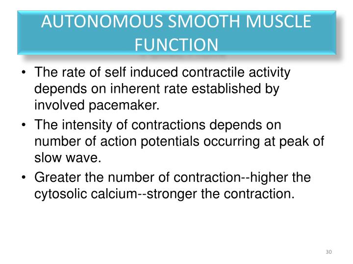 PPT - Physiology of the Digestive System PowerPoint Presentation - ID