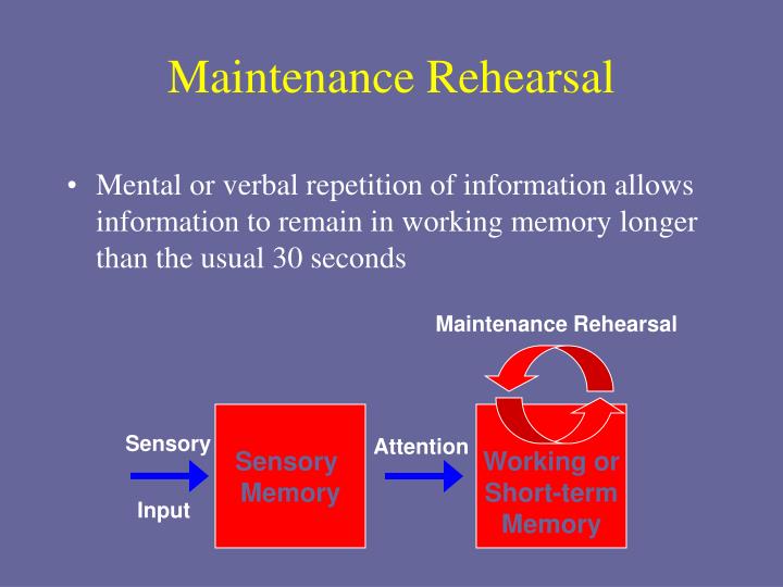 PPT Stage Model of Memory PowerPoint Presentation ID2594519