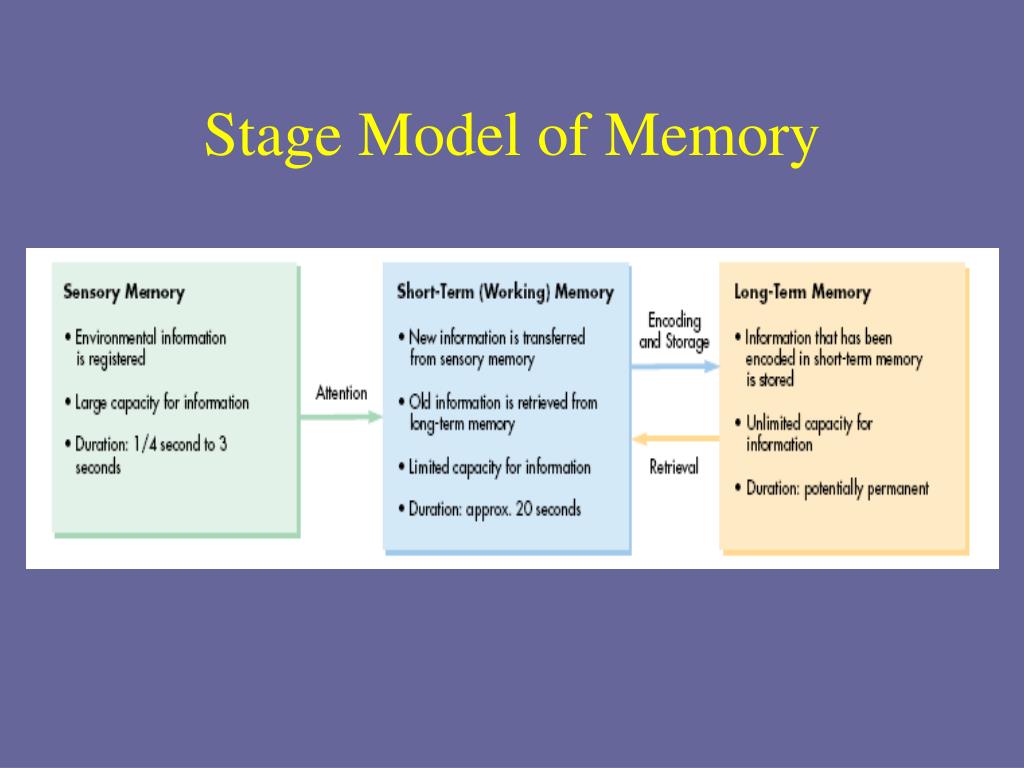 3 main steps creating memories 3 main steps creating memories