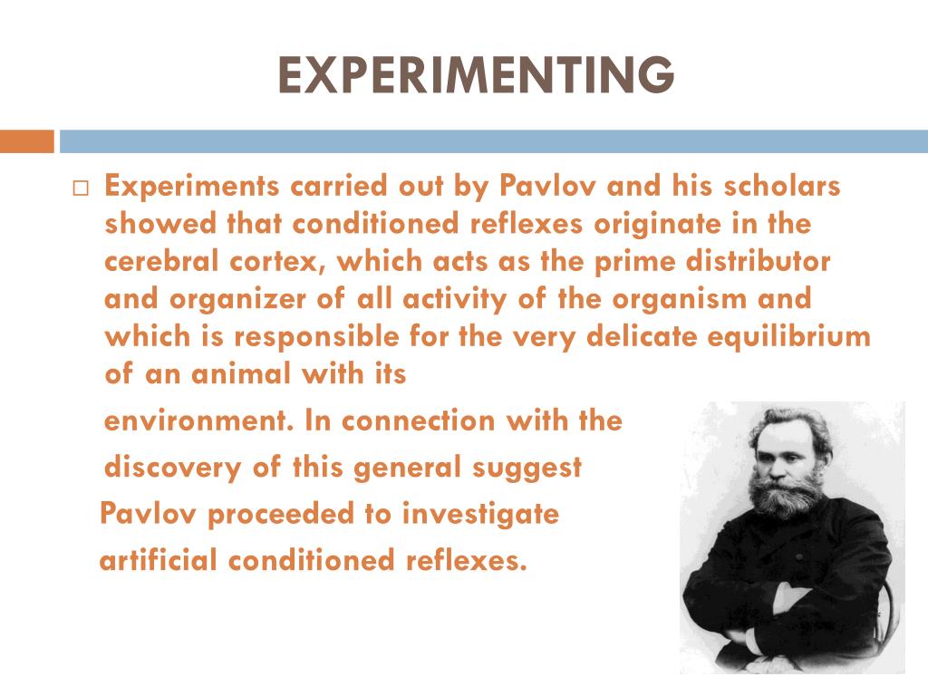 pavlov experiment pavlov experiment