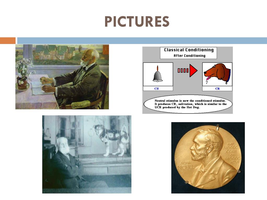 pavlov psychology pavlov psychology
