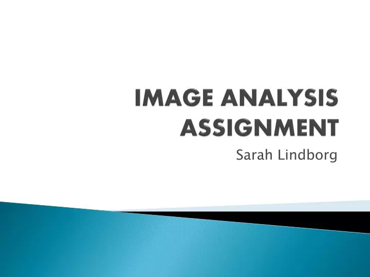 assignment image analysis