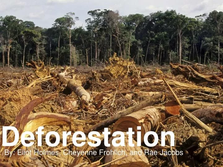 deforestation ppt presentation free download