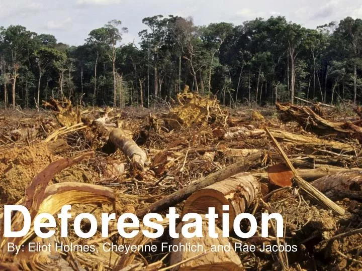  Deforestation Powerpoint Templates Free Download Printable Templates