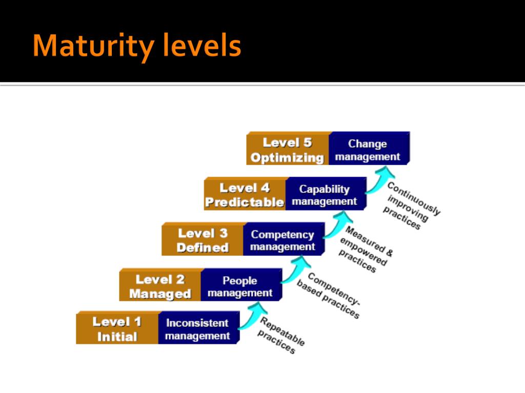 Process Maturity Levels In Sppm