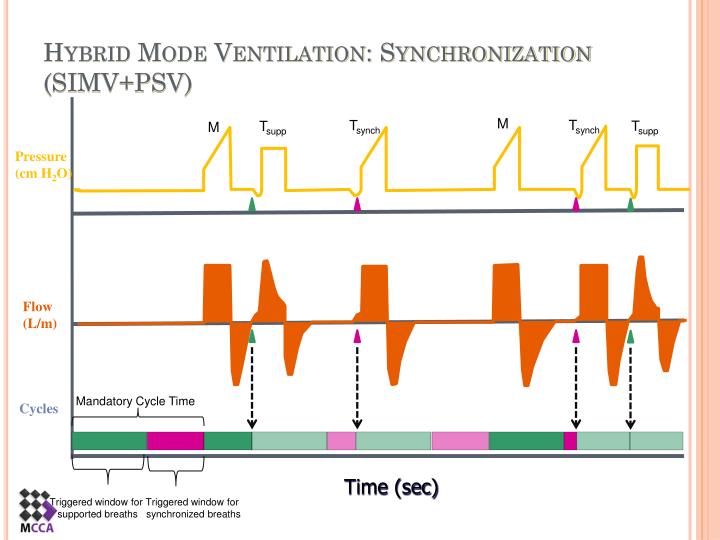 PPT Modes of Mechanical Ventilation PowerPoint Presentation ID2599019