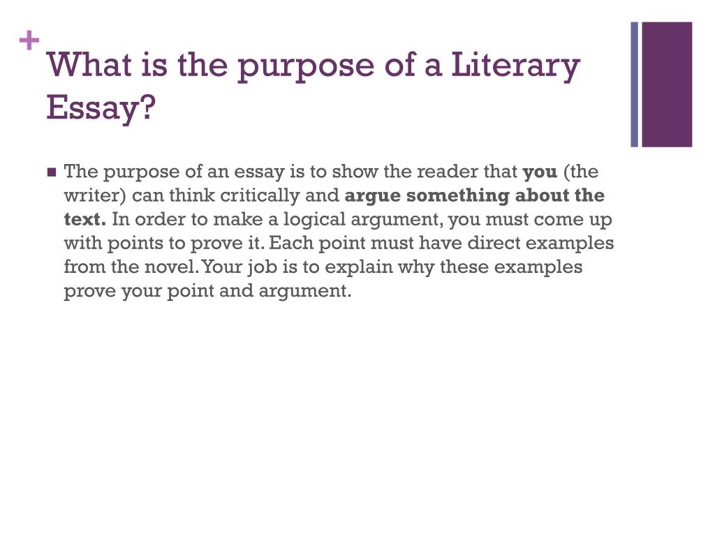 literary essay purpose