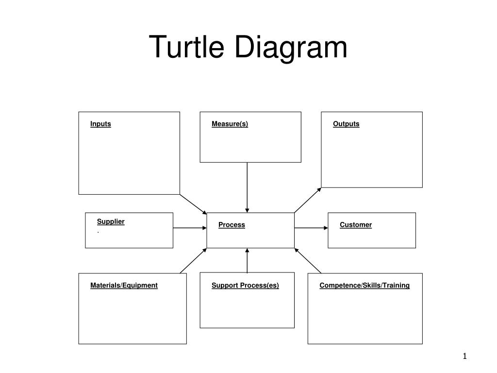 Diagram Of A Turtle
