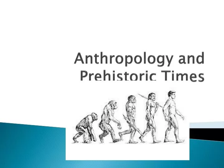 an analysis of the job of anthropologist and the anthropological study an analysis of the job of anthropologist and the anthropological study