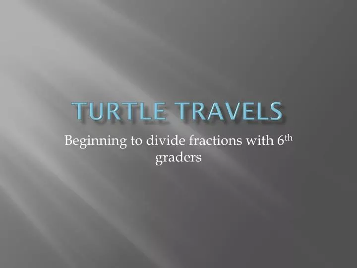 turtle travels n.