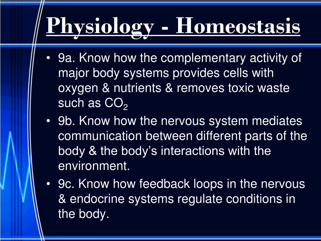 PPT - Physiology - Homeostasis PowerPoint Presentation, free download