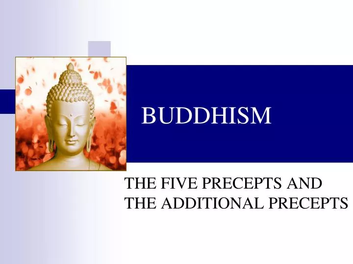 buddhism n.