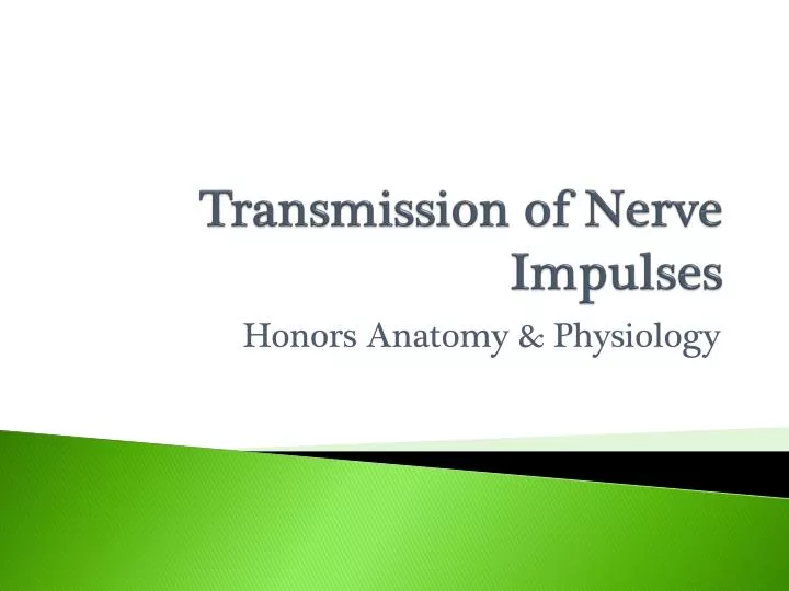 PPT - Transmission of Nerve Impulses PowerPoint Presentation, free download - ID:2605536 PPT - Transmission of Nerve Impulses PowerPoint Presentation, free download - ID:2605536