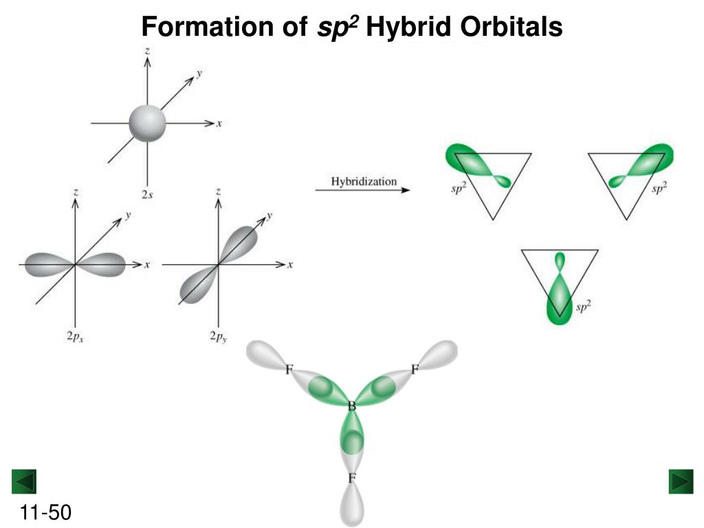 Formation of sp2 Hybrid Orbitals.
