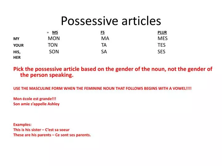 possessive articles n.