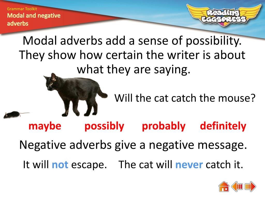 ppt-what-are-modal-and-negative-adverbs-powerpoint-presentation-free-download-id-2605934