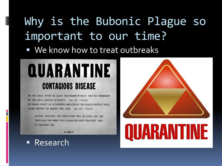 the contagious disease of bubonic plague What is pneumonic plague disease outbreak in china is similar to bubonic plague, highly contagious what is pneumonic plague facts on china disease outbreak. the contagious disease of bubonic plague What is pneumonic plague disease outbreak in china is similar to bubonic plague, highly contagious what is pneumonic plague facts on china disease outbreak.