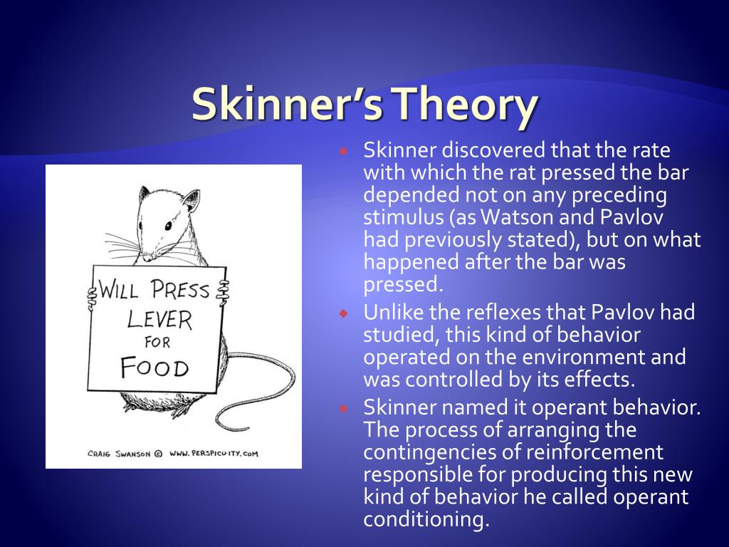 findings of skinner's research