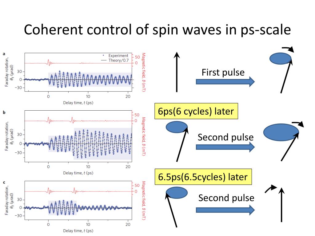 Spinning waves. Coherent Waves. Spin Waves. Coherent Россия. Когерент прибор.