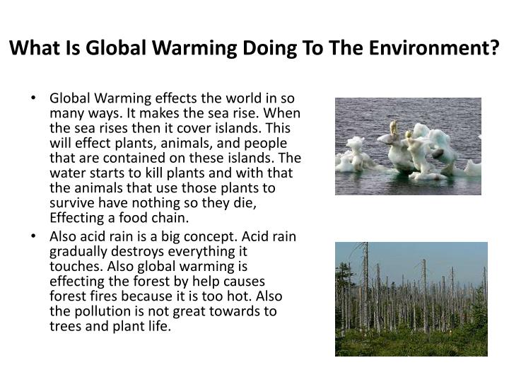 an examination of the environmental effects of global warming Essay on causes and effects of global warming global warming as being a huge environmental issue, it has become very necessary to increase awareness about it among common public all over the world. an examination of the environmental effects of global warming Essay on causes and effects of global warming global warming as being a huge environmental issue, it has become very necessary to increase awareness about it among common public all over the world.