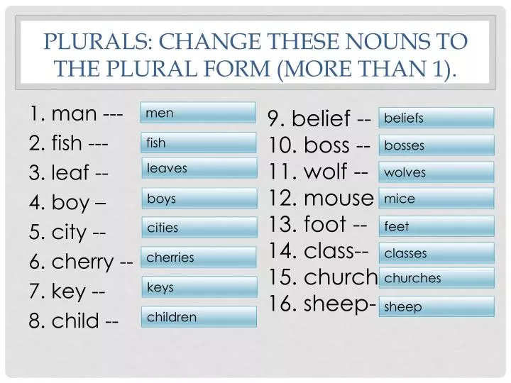 Ppt Plurals Change These Nouns To The Plural Form More Than 1