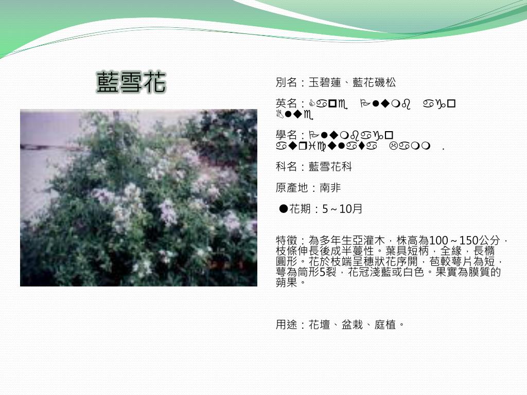 Ppt 實踐後花園 Powerpoint Presentation Free Download Id