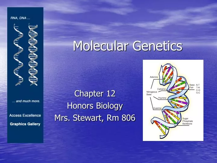 what is genetic molecular theory