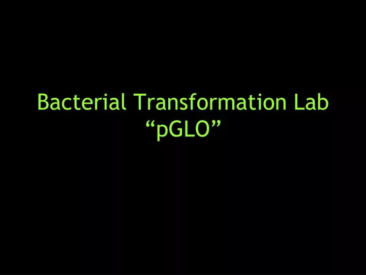 bacterial transformation lab pglo n.