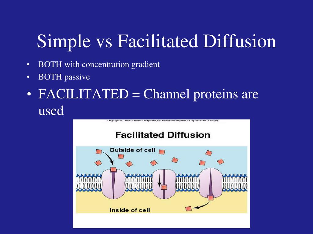 PPT Plasma Membrane and Transport of molecules PowerPoint