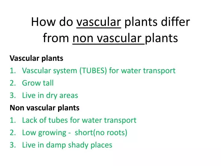 how do vascular plants differ from non vascular plants n.