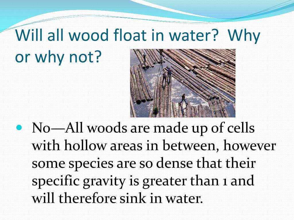 PPT Wood Characteristics PowerPoint Presentation, free download ID
