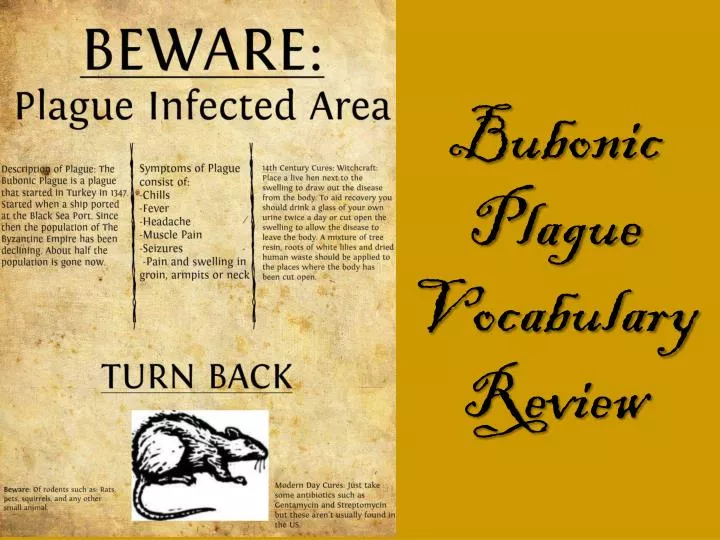 bubonic plague vocabulary review n.
