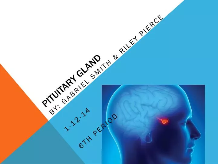 pituitary gland n.