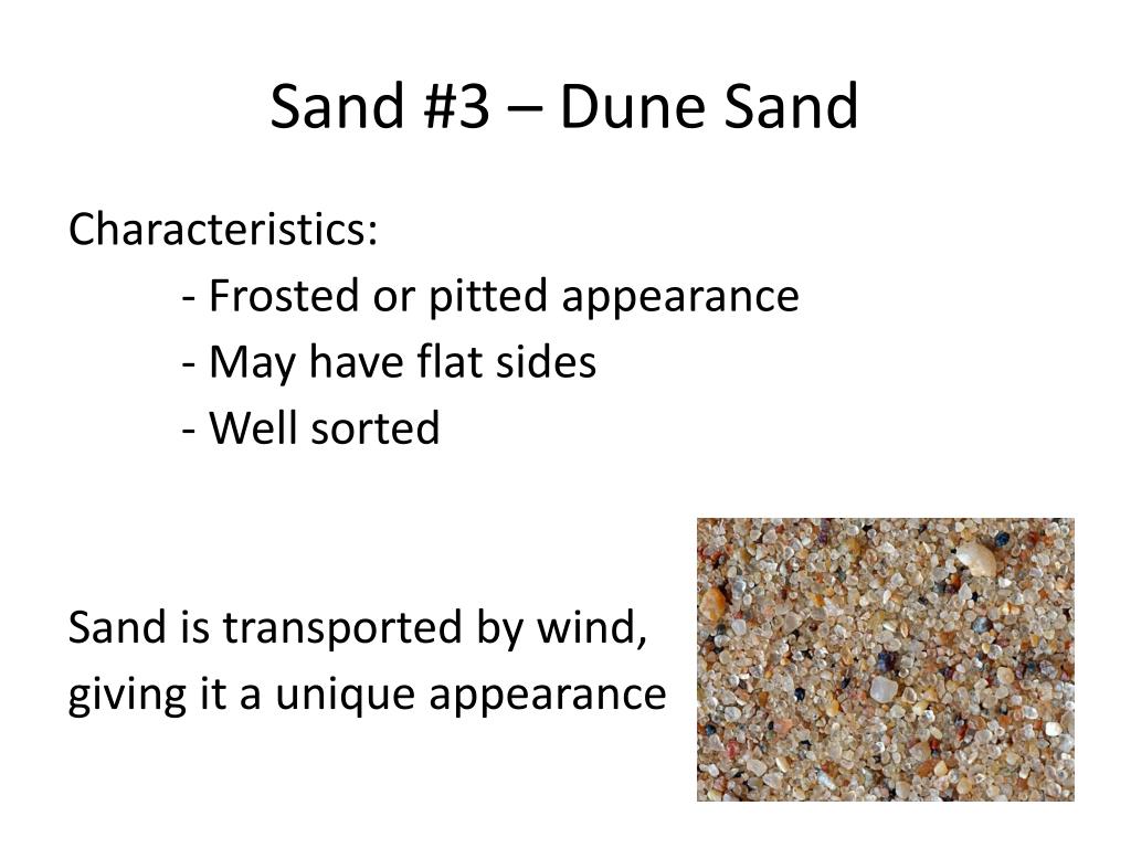 PPT Earth History Sand Types PowerPoint Presentation Free Download PPT Earth History Sand Types PowerPoint Presentation Free Download