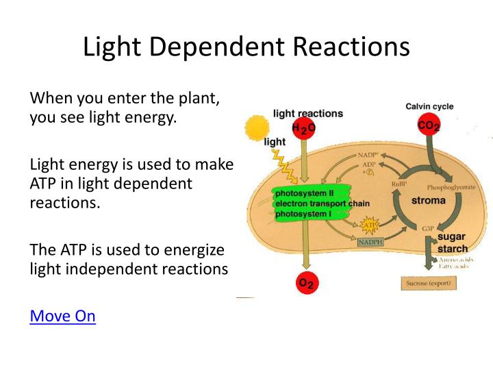PPT You are a carbon dioxide molecule in the atmosphere