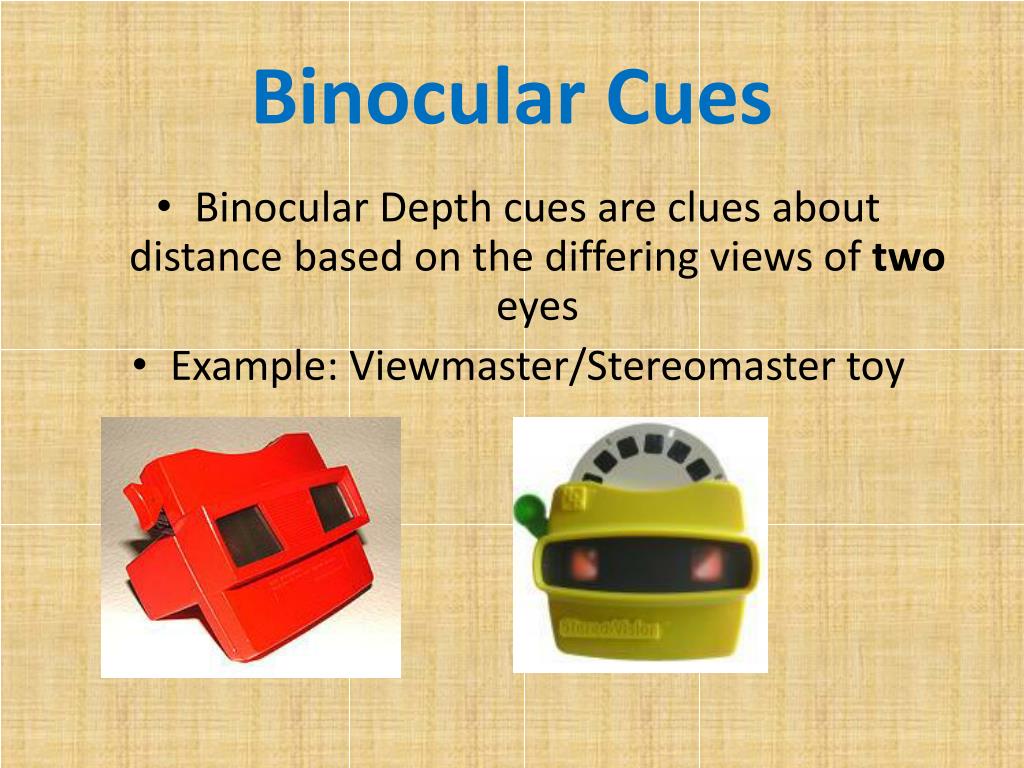 binocular cues to depth and sirds