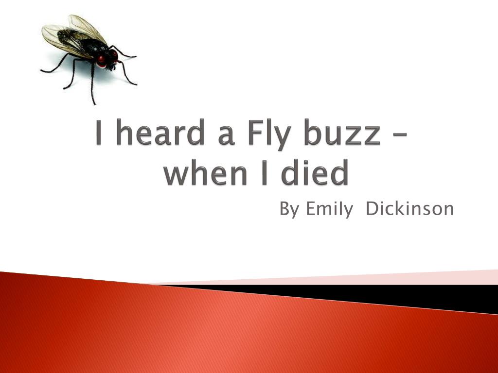 i heard a fly buzz when i died interpretation