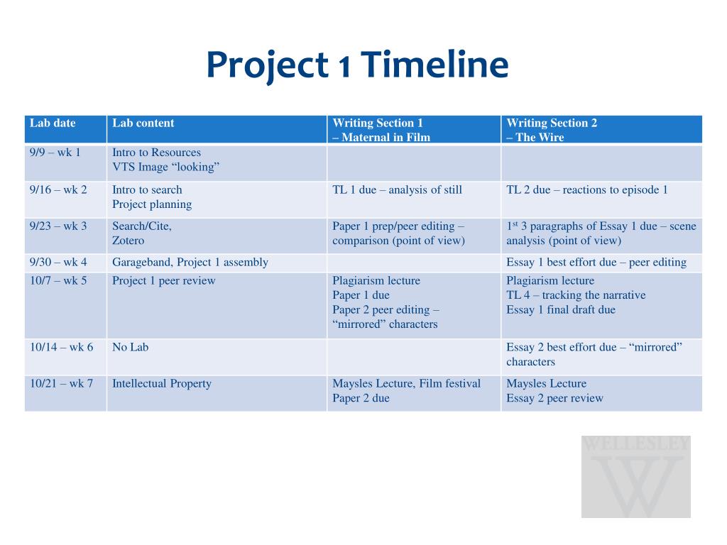 PPT - Enhancing First-Year Experience with Critical Literacies at ...