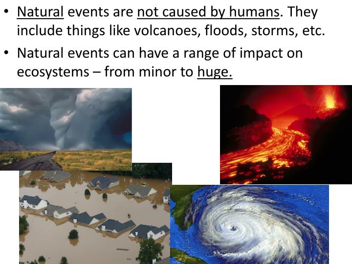 PPT 1.12 Natural Phenomena and Ecosystems PowerPoint Presentation