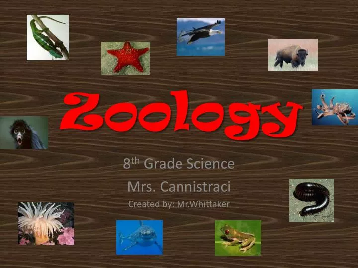 presentation topics for zoology
