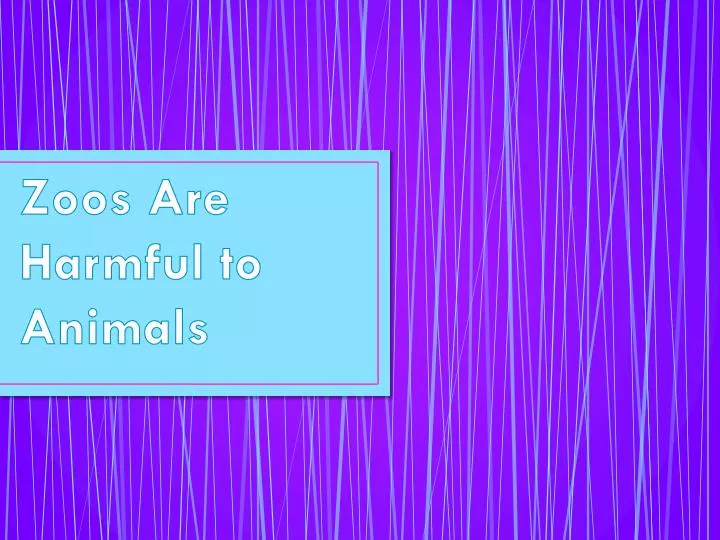 How Are Zoos Harmful To Animals at Robert Orellana blog