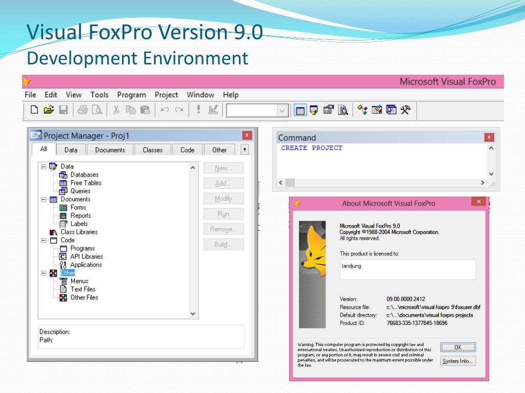 Visual fox. СУБД Visual FOXPRO. FOXPRO программа. Визуал Фокс про. Система FOXPRO это.