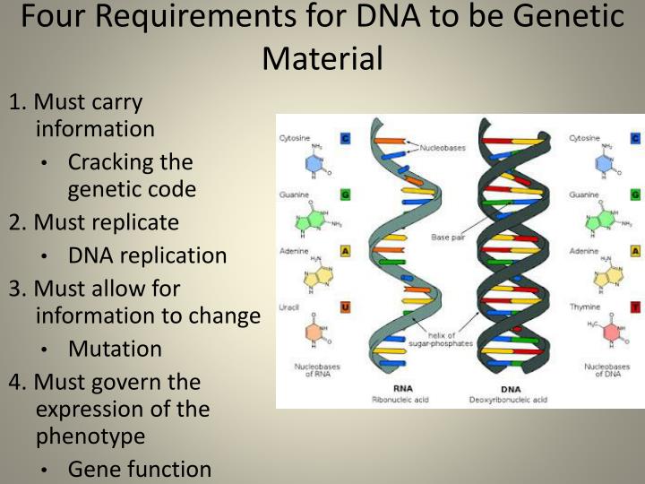 cracking the genetic code cracking the genetic code