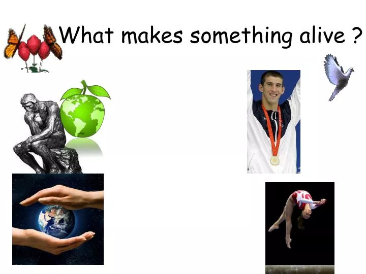 Ppt what makes something alive powerpoint presentation free