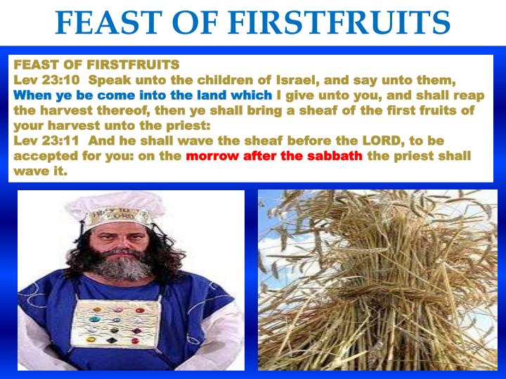 PPT The Feast of First Fruits PowerPoint Presentation ID2626114
