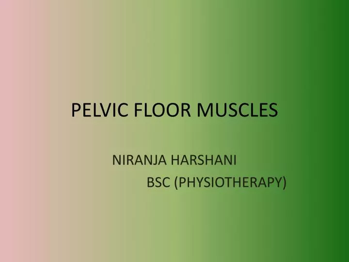 pelvic floor muscles n.