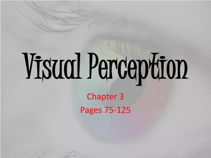 PPT - Visual Perception PowerPoint Presentation, Free Download - ID:2627573