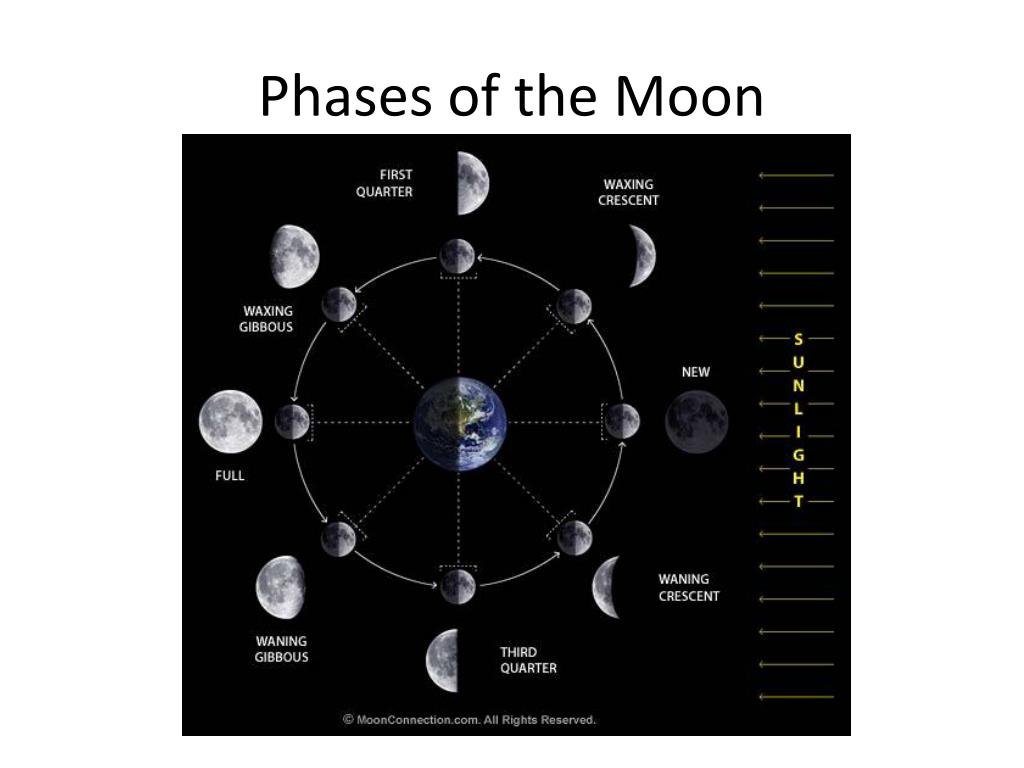 PPT - Geocentric Model of the Universe PowerPoint Presentation, free ...